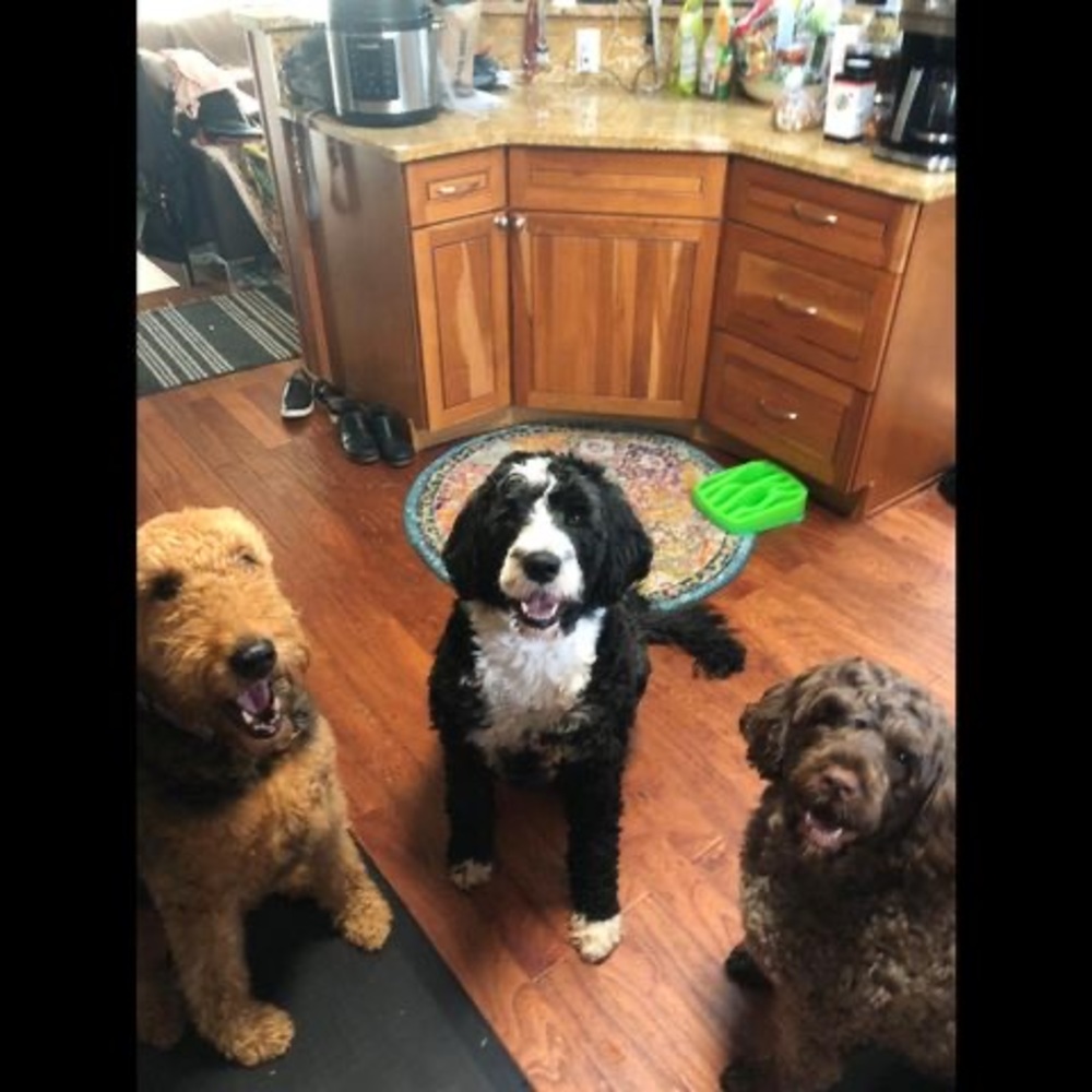 Meet your Posher, Ces